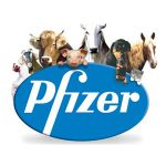 Link to Treat Fleas – Revolution / Pfizer Animal Health Website