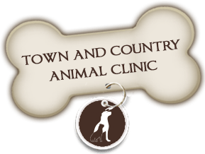 Holiday Safety~*Enjoy the Best Time With Your Pets*~ | Town and Country  Animal Clinic