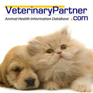 Link to Veterinary Partner.com Website